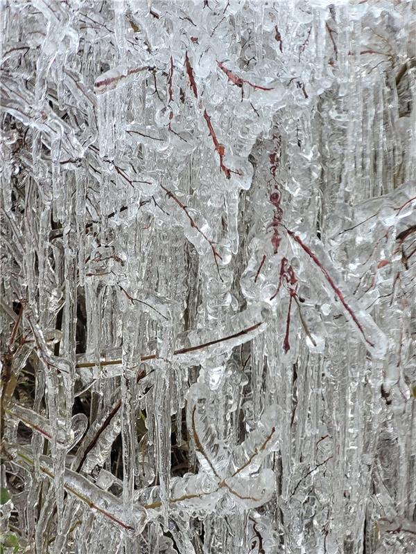 Zauberhafte Eisskulpturen,  gesehen an der Hermann-Wolf-Halle in Nebringen, hoch...