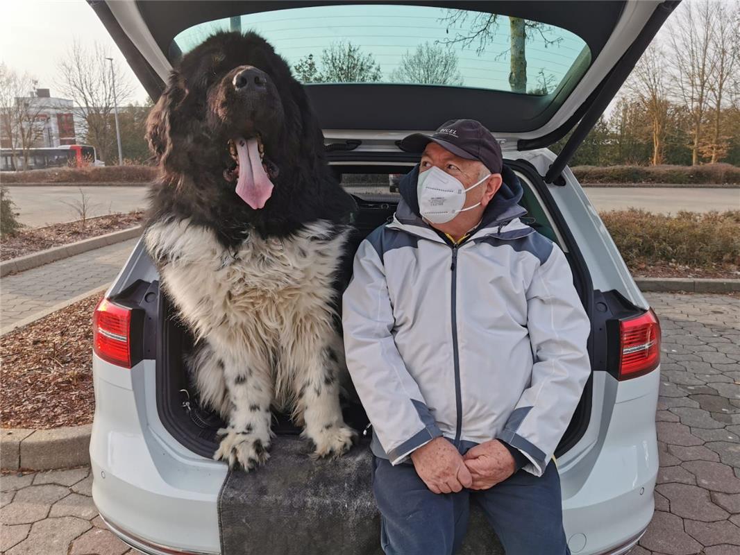 Zeus ist bekannt wie ein bunter Hund und nicht zu übersehen. Hier sitzen er und ...