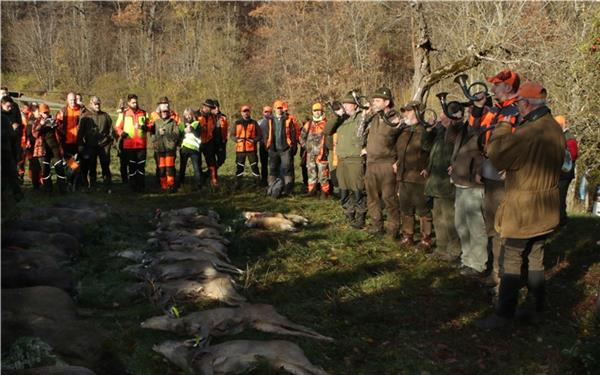 Zum Abschluss der Jagd ertönen Hörner im Wald auf dem Mönchberg. GB-Foto: Bäuerle
