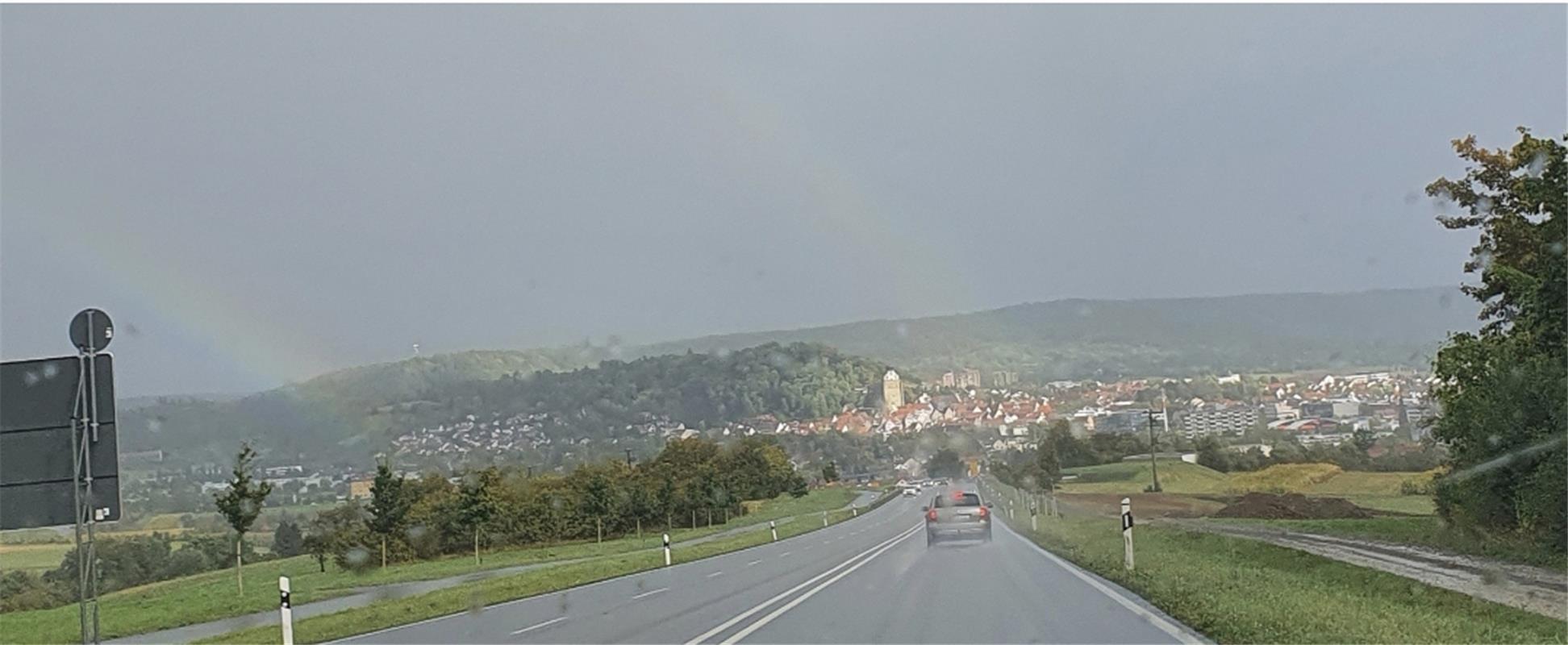 Zwischen Jettingen und Herrenberg war Sabine Humm mit dem Auto. unterwegs und sa...