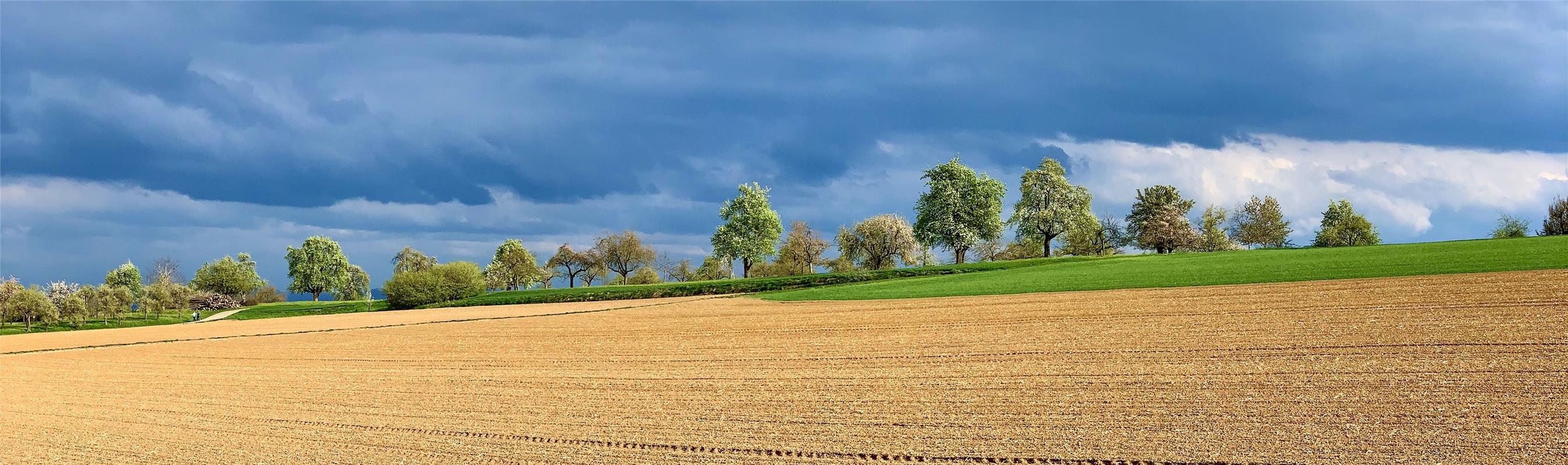 Zwischen Öschelbronn und Nebringen zeigt sich diese Feld-Skyline vor der Sturmku...