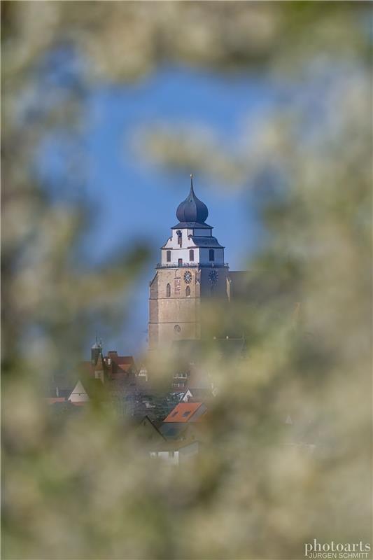 Zwischen dem Blütenmeer ragt die markante Kirche heraus, fotografiert von Jürgen...