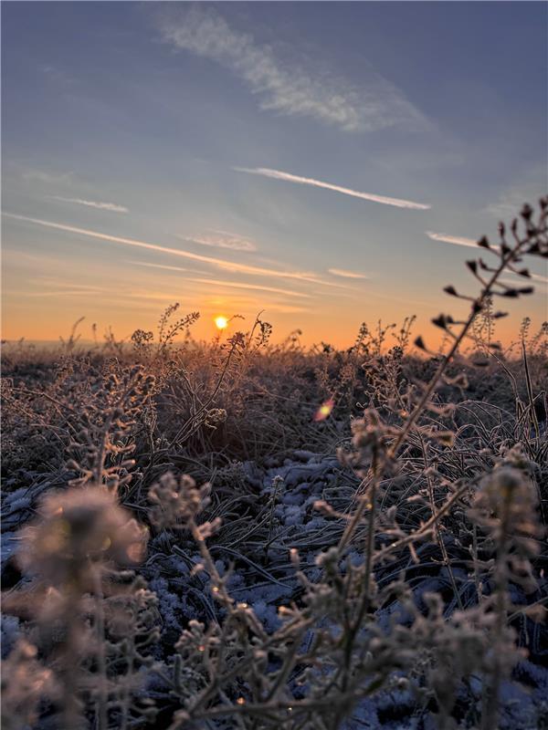 auch Insta (erschienen) Gäufrost in der Morgensonne.  Von Carolin Nüßle aus Kupp...