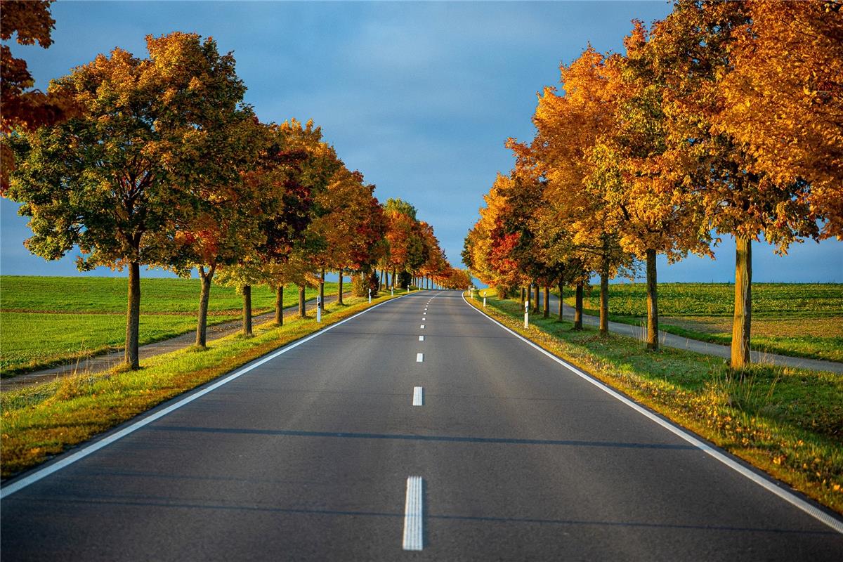 auch für Insta verwendet. Erschienen am 18.10. Herbststimmung zwischen Oberjesin...