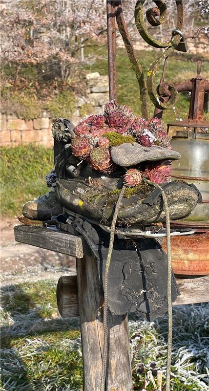 „ausgelatscht“ (unterwegs auf dem Wengertwegle).  Von Helga Schmickl aus Herrenb...