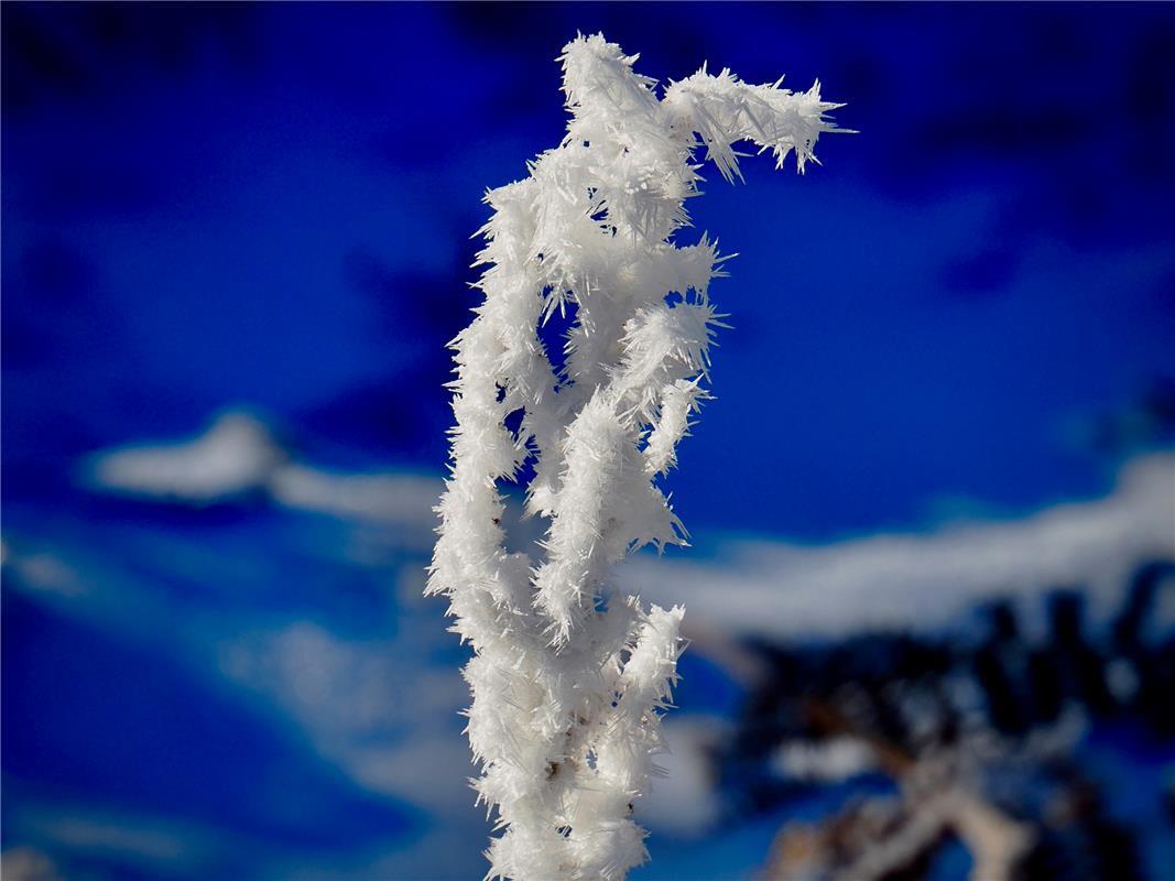 erschienen Winterbild.  Von Simon Röhm aus Nufringen.