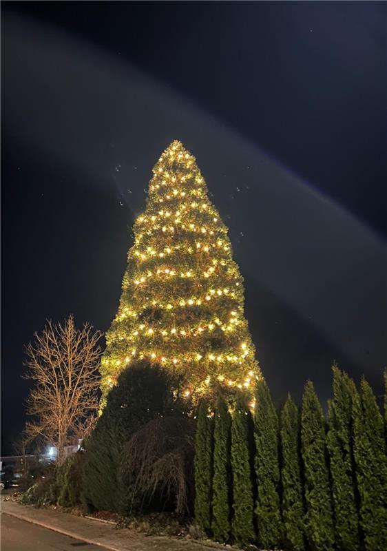für Insta verwednet. Dieser tolle Mammut-Weihnachtsbaum steht in Unterjettingen ...