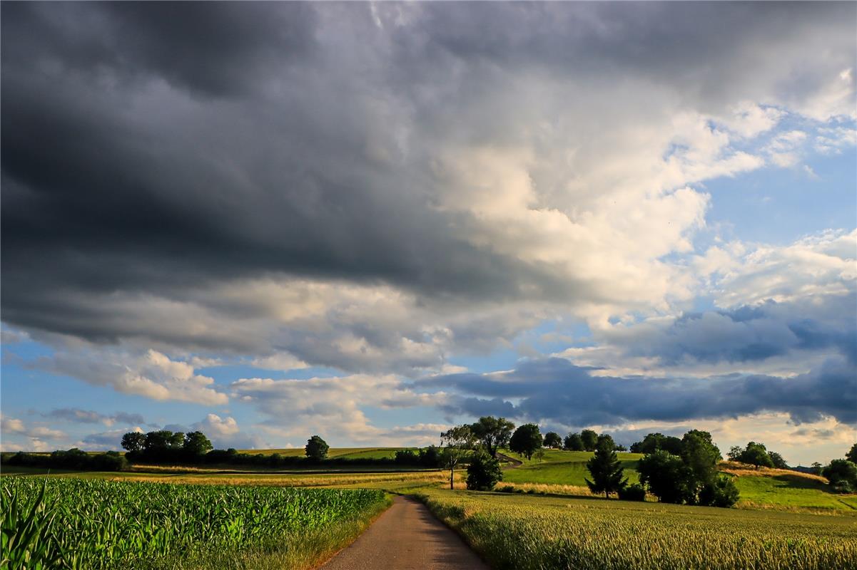 (für Insta verwendet) Abends beim Spaziergang um Hildrizhausen.  Von Natalie Pol...