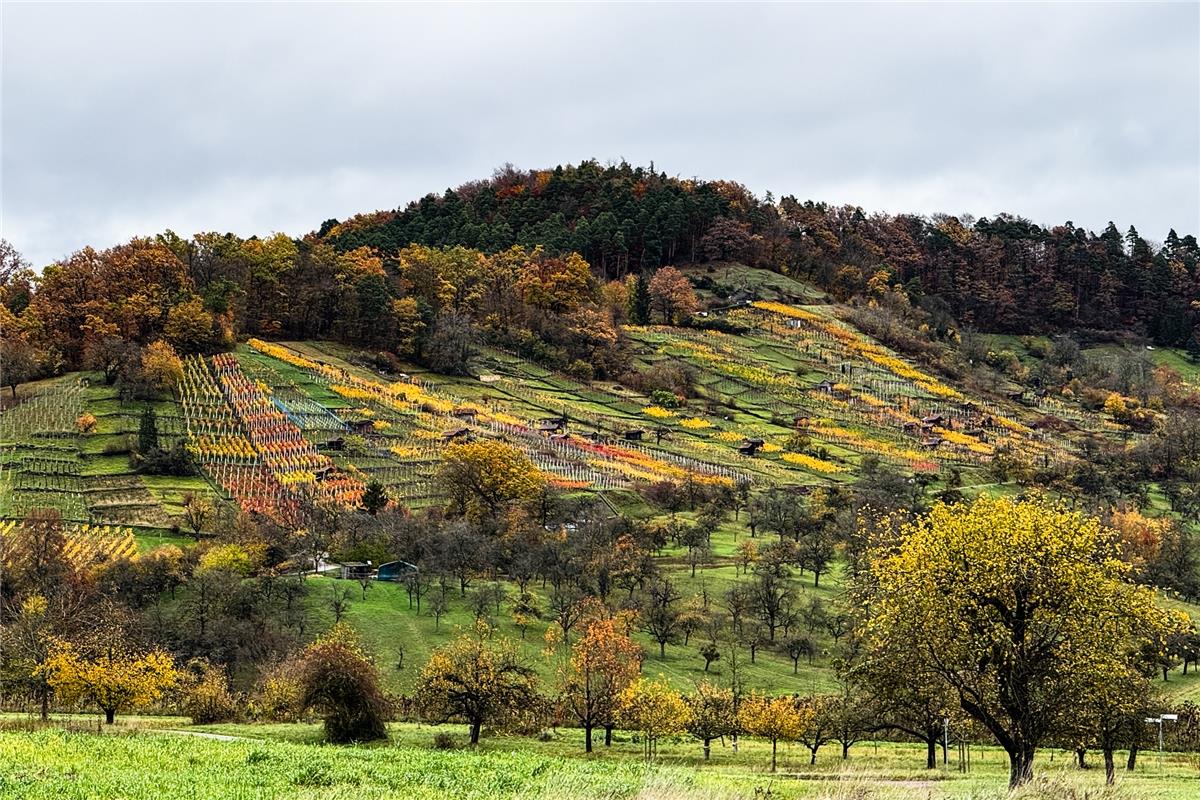 für Insta verwendet. Auch und gerade bei trübem Wetter erfreut sich das Auge an ...