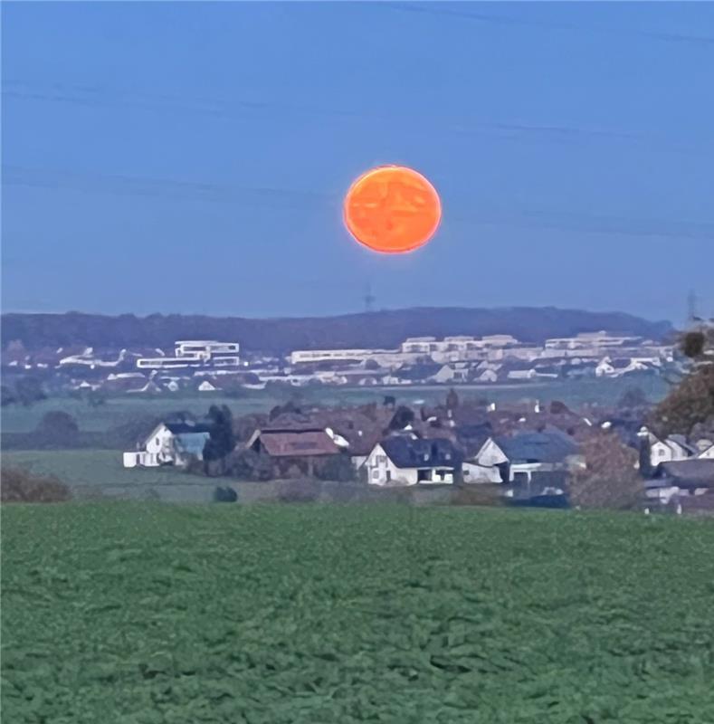 für Insta verwendet. Beim Spaziergang nahe Hildrizhausen.  Von Carmen Koebe aus ...