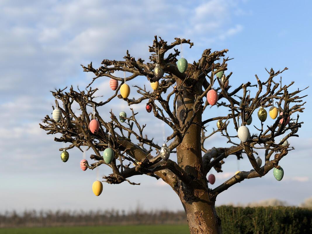 für Insta verwendet. Bunte Ostereier im Frühlingshimmel.  Von Minja Rollinson au...