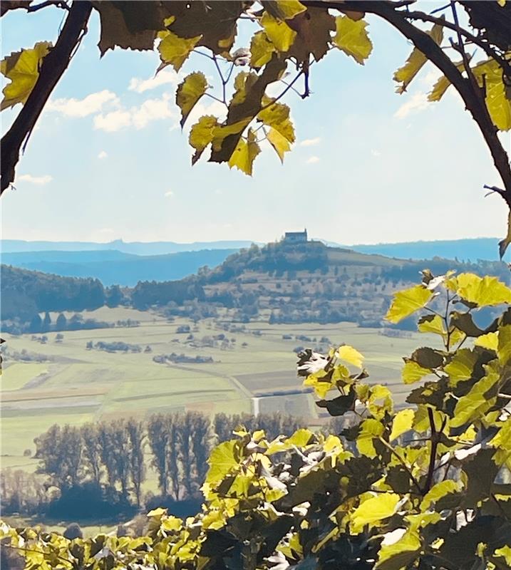 für Insta verwendet. Durch das Weintor gespickelt auf die Wurmlinger Kapelle und...