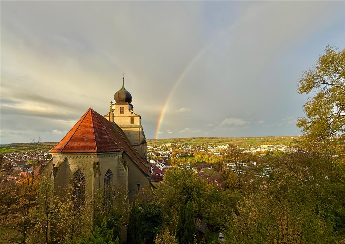 für Insta verwendet. Ein Anblick, der das Herz erwärmt: Die Glucke in der Morgen...