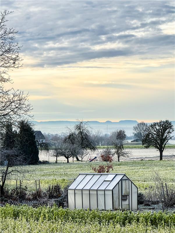 für Insta verwendet. Ein kalter Dezembermorgen. Von Ingrid Andor.