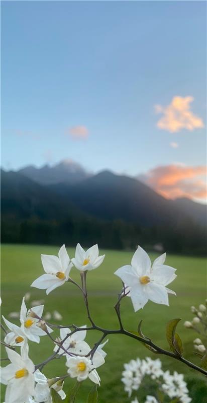für Insta verwendet. Ein letzter Sommergruß.  Von Rainer Bruckner aus Herrenberg...