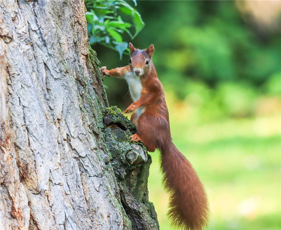 für Insta verwendet. Hallo ihr da ...  Von Natalie Politz aus Hildrizhausen.
