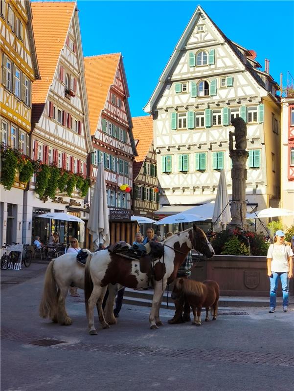 für Insta verwendet. Im Wilden Westen.  Von Ruth Fahrbach aus Herrenberg-Haslach...