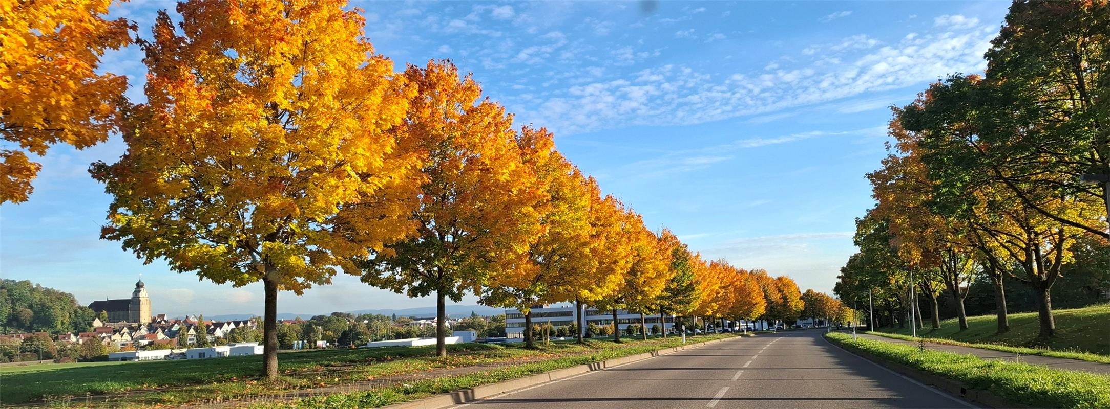 für Insta verwendet. Indian-Summer-Feeling auf dem Weg von Affstätt nach Herrenb...