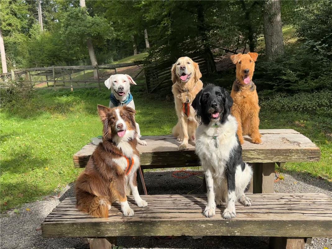 für Insta verwendet. Jeden Moment bewusst genießen …  Von Petra Sailer aus Ammer...