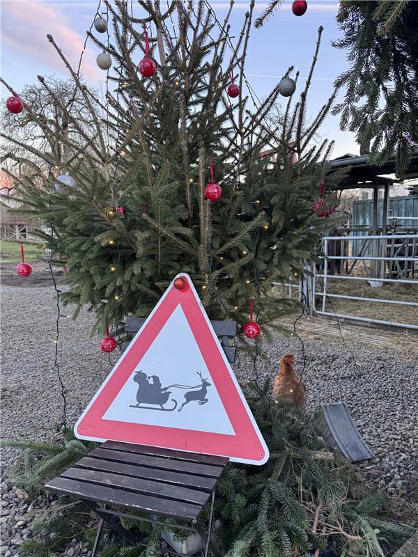 für Insta verwendet. Merry Chickmas.  Von Carolin Nüßle.