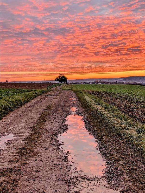 für Insta verwendet. Morgenrot über Kuppingen.  Von Eva Althoff-Nüßle aus Herren...