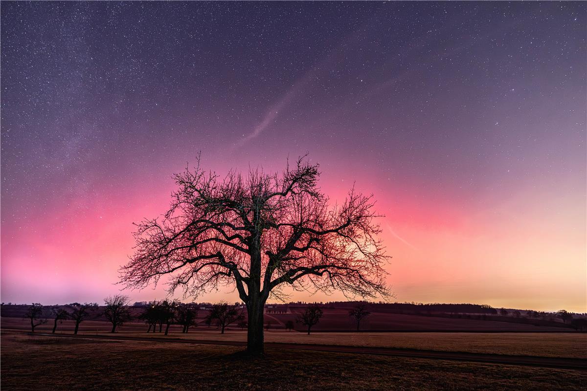 für Insta verwendet. Polarlichter in Sindlingen. Von Sonja Sayer aus Jettingen.