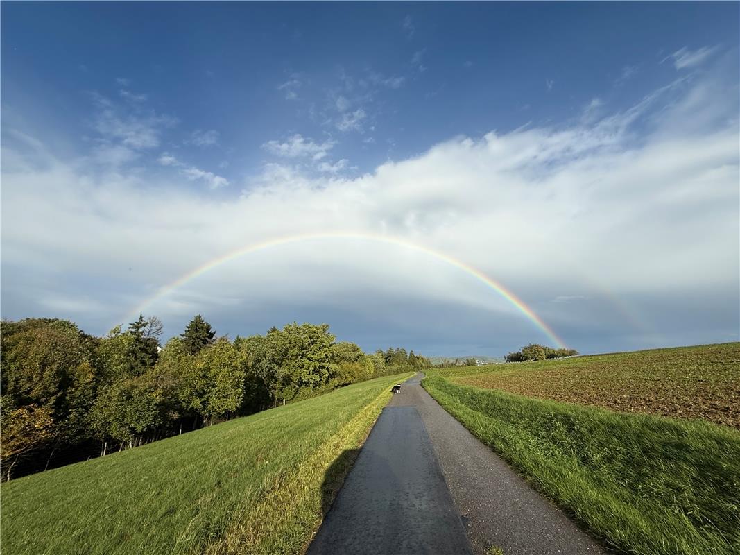 für Insta verwendet. Regenbogen zwischen Haslach und Nenringen. Von Petra Zahlen...