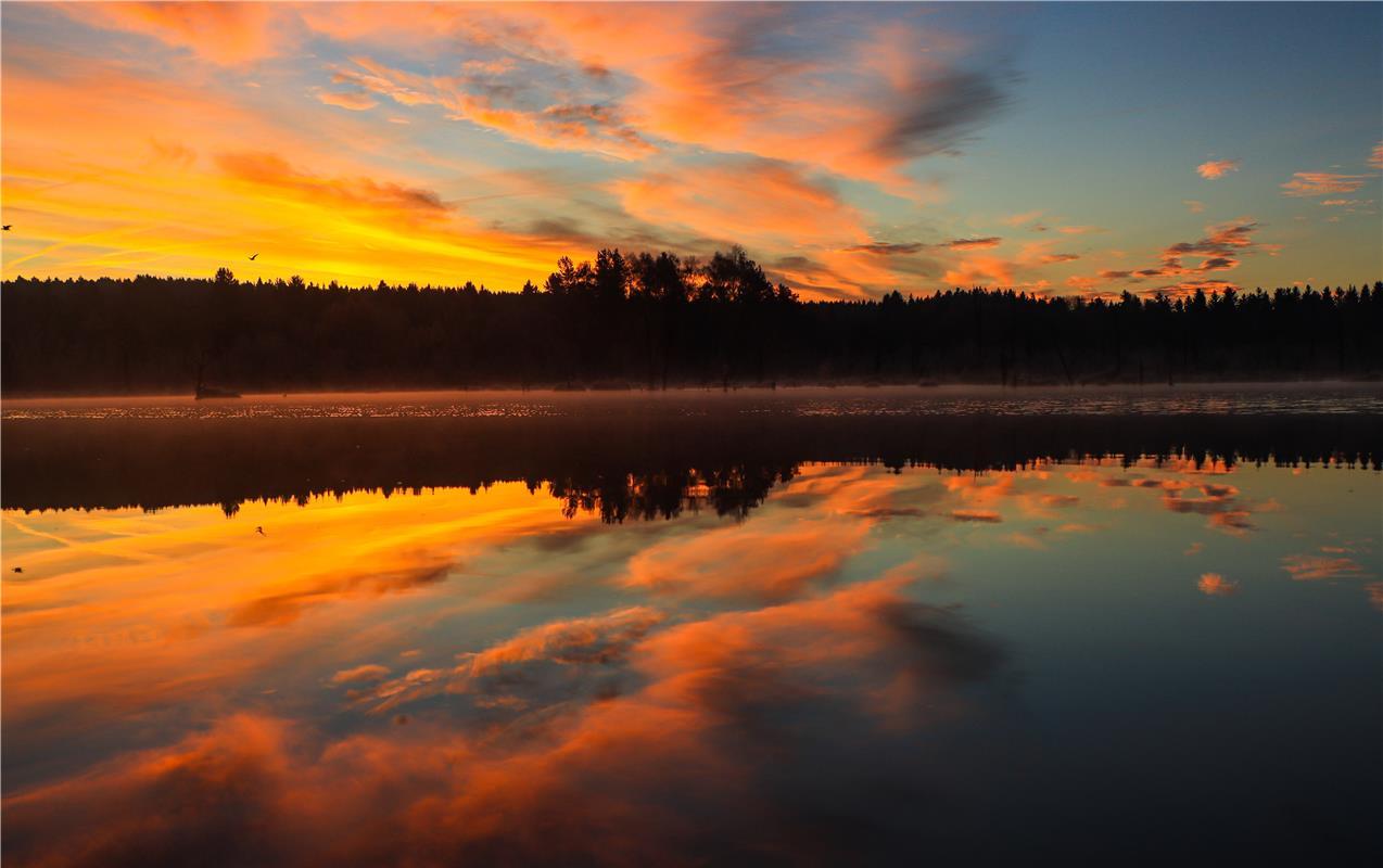 für Insta verwendet. Sonnenaufgang am eisigen Morgen. Von Natalie Politz aus Hil...