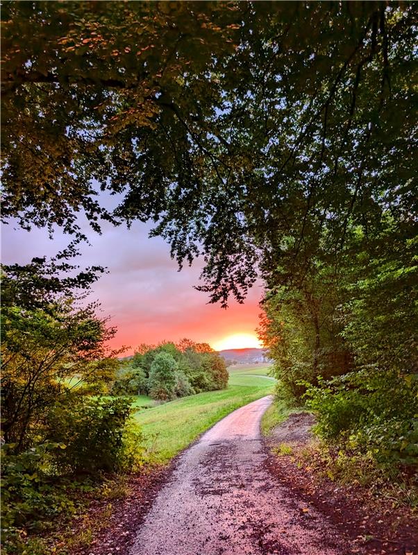 für Insta verwendet. Sonnenaufgang über Herrenberg.  Von Eva Althoff-Nüßle aus H...