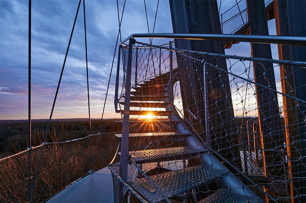 für insta verwendet. Die ersten Sonnenstrahlen in einer trüben Zeit ...  Von Ann...