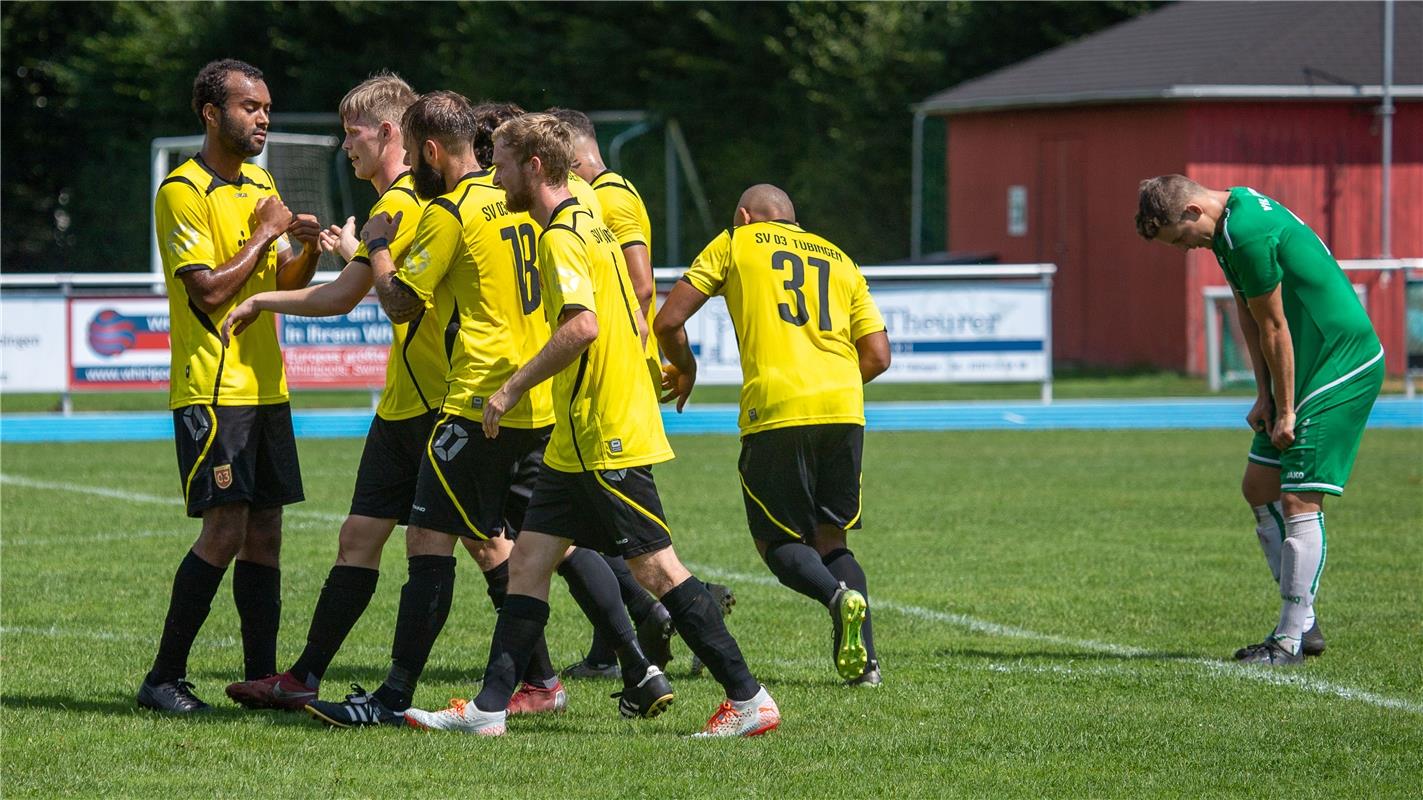 jubel, Tor, 1:0 durch Tobias Haux (SV 03 Tuebingen #29),  SV 03 Tuebingen - VfL ...